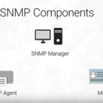 SNMP Components graphic